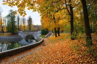sonbaharda setin Superior gölünün. Kaliningrad
