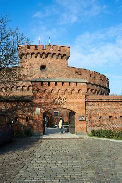 Bernsteinmuseum — Stockfoto