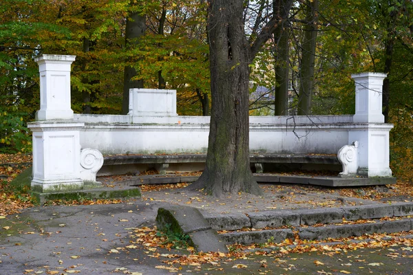 Bänk drottning Louise. Kaliningrad — Stockfoto