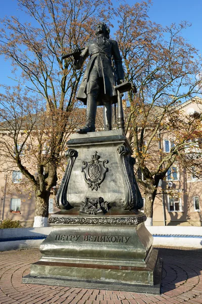 Monument to Peter the Great in Baltiysk. Kaliningrad region — Stock Photo, Image