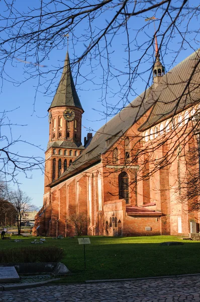 Kenigsberg katedrála je hlavním symbolem města, budovy používané k muzejní výstavy a koncerty v kaliningrad, Rusko. — Stock fotografie