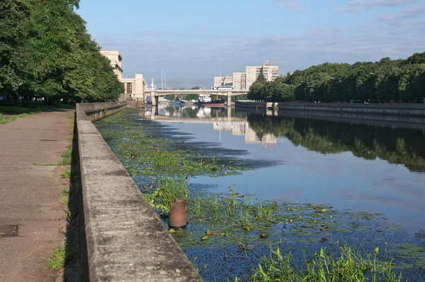 River Pregel in Kaliningrad — Stock Photo, Image