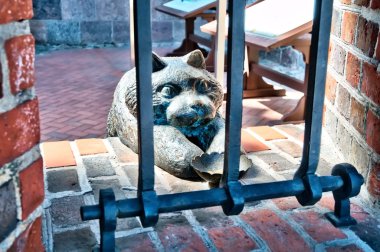 para için bir kase ile bronz kedi. Kaliningrad