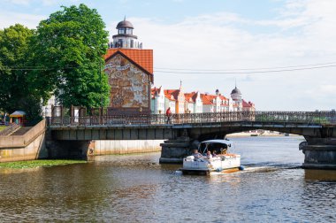 Bal köprü görünümü. Kaliningrad