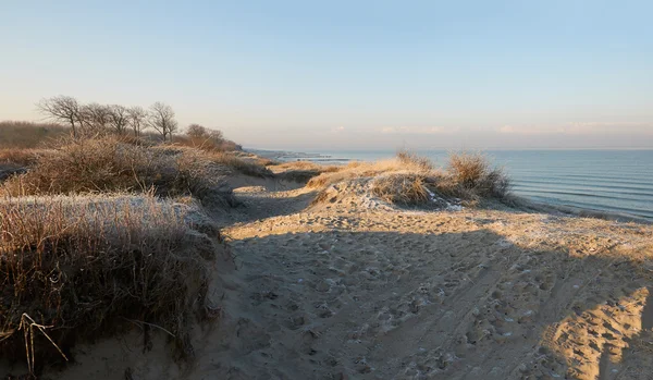 冬のバルト海のビーチでの風景します。 — ストック写真