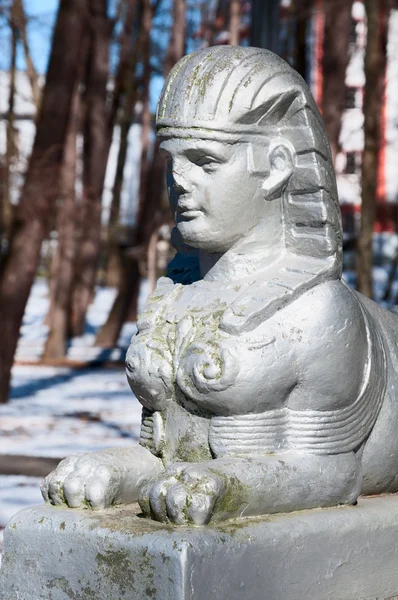 Sculptuur van de sfinx. Svetlogorsk — Stockfoto