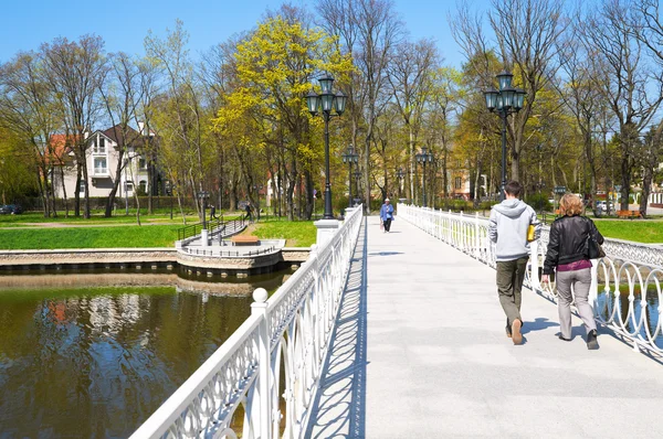 Uferböschung am Oberen Teich. Kaliningrad — Stockfoto