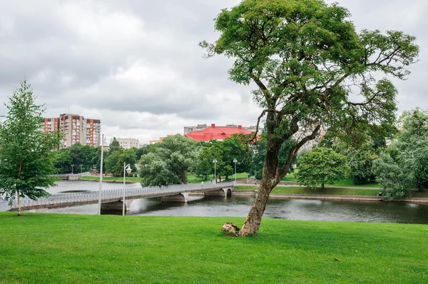 Paisaje urbano en el día lluvioso. Kaliningrado — Foto de Stock