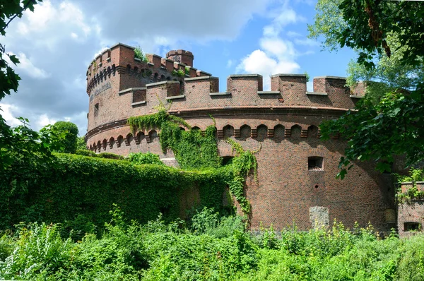 Torre "Wrangel" a Kaliningrad — Foto Stock