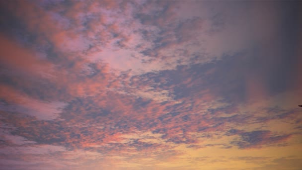 Avión en el cielo — Vídeos de Stock