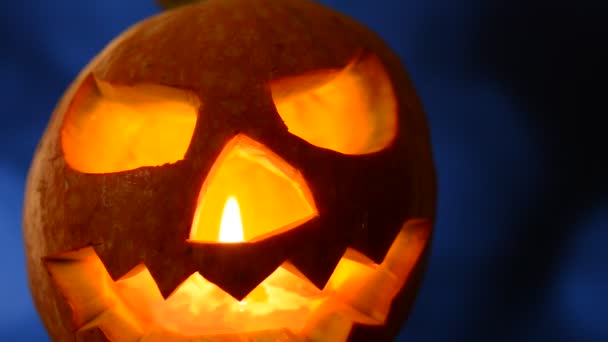 Halloween jack o lanterna — Vídeo de Stock