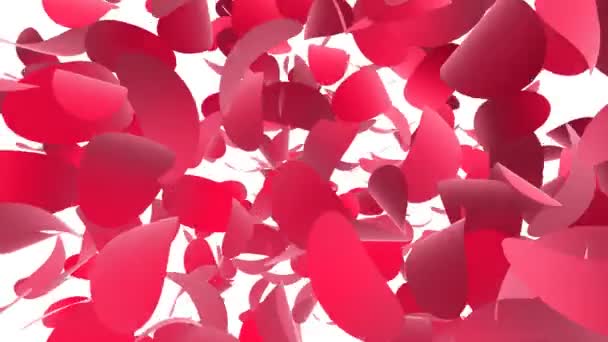 優しい風に赤い花弁 — ストック動画