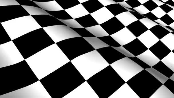 Checkered racing flag — Stock Video