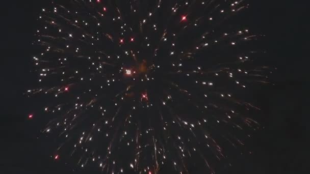 Fuegos artificiales — Vídeo de stock