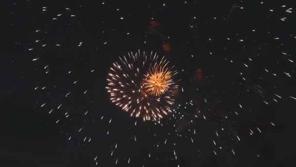 Tűzijáték — Stock videók