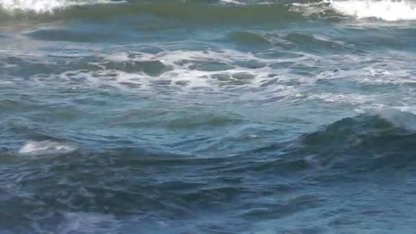 バルト海 — ストック動画