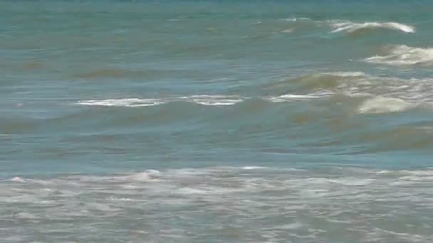 Морские волны — стоковое видео