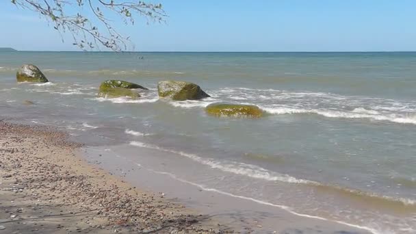 Olas de mar — Vídeos de Stock