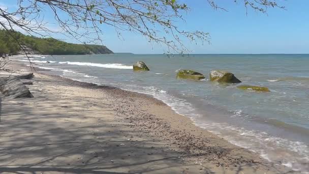 Olas de mar — Vídeo de stock