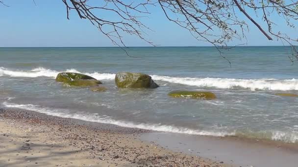 Olas de mar — Vídeos de Stock