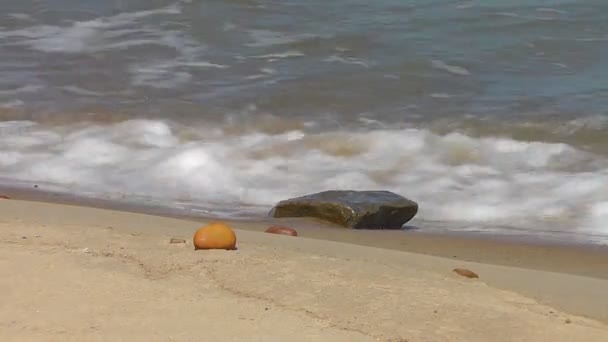 Морские волны — стоковое видео