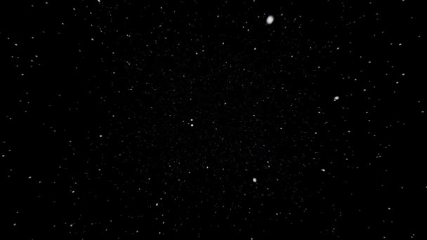 Starfield