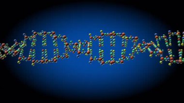 DNA Helix