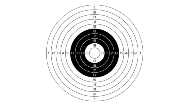 Shooting at a target — Stock Video