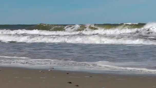 バルト海の海岸 — ストック動画