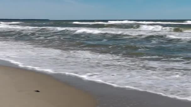 Costa do mar Báltico — Vídeo de Stock