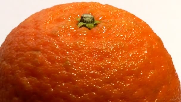 Frutas de tangerina — Vídeo de Stock