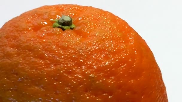 Fruits de la mandarine — Video