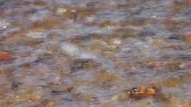 Surf de mer 
