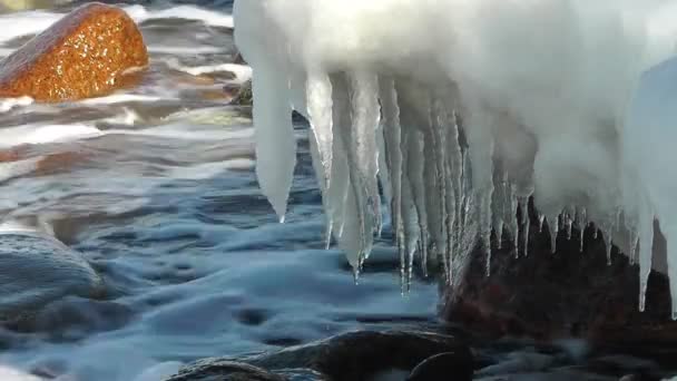 Fonte de la glace de mer au printemps — Video
