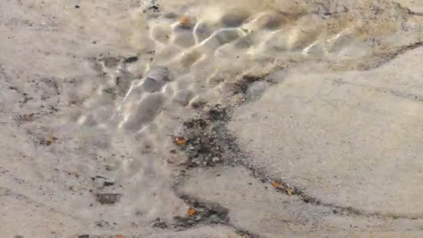 Ruisseau printanier avec grain ambré — Video