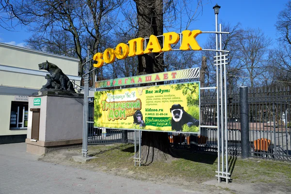 Kaliningrad Zoo — Stock fotografie