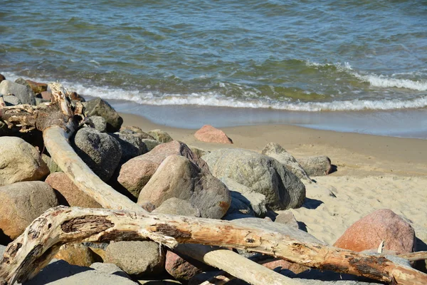 Trozos de madera y piedras en la orilla —  Fotos de Stock