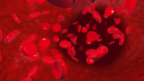 Blood cells flowing — Stock Video