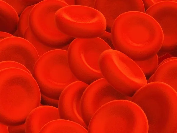 혈액 세포 — 스톡 사진