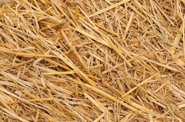 saman arka plan dokusu