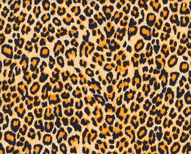 Leopar deri
