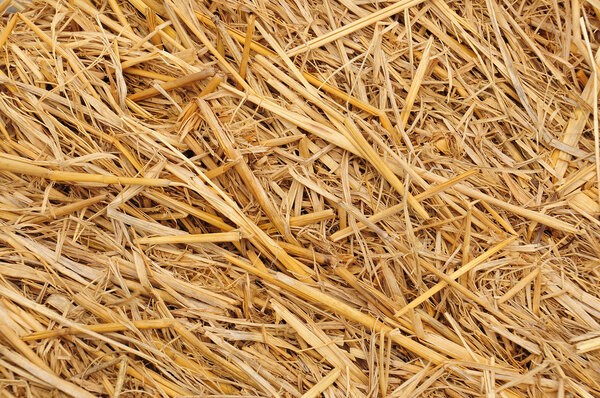 Соломенная текстура
