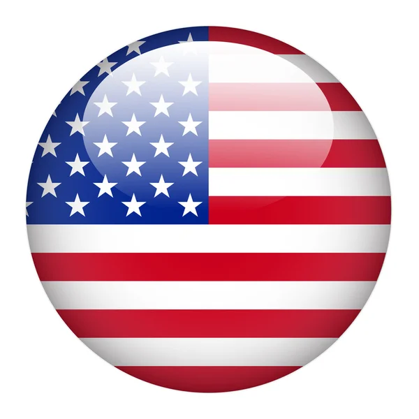 USA flag on button — Stock Vector