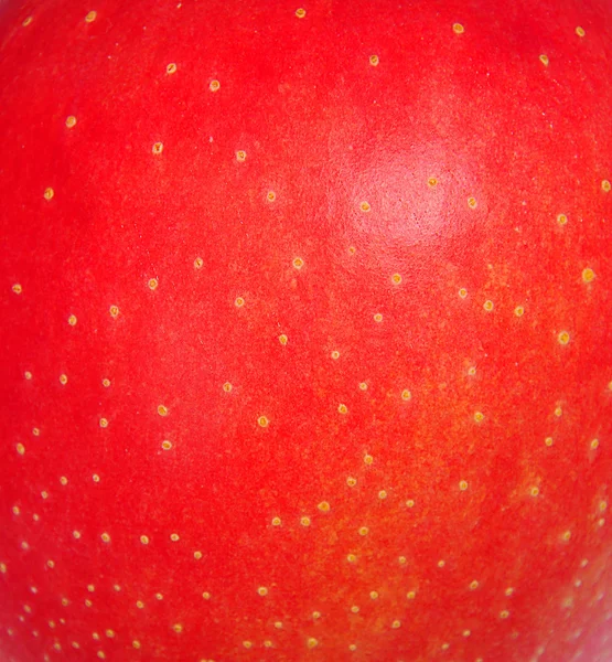 Peau de pomme rouge — Photo