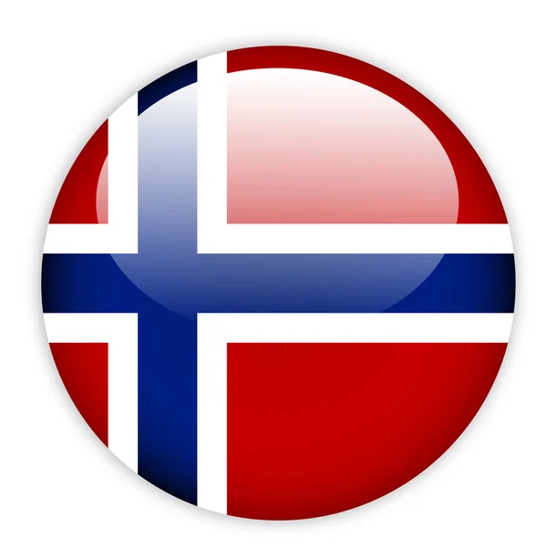 Botón bandera norway — Vector de stock