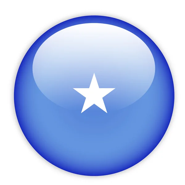 Somalia flag button — Stock Vector