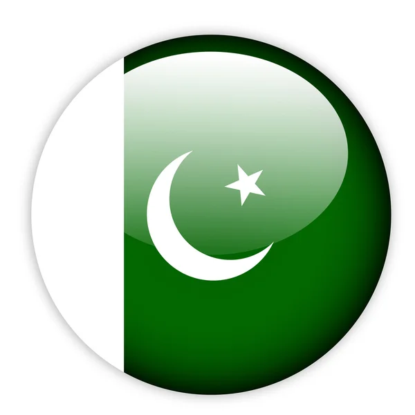 Pakistan flagga knappen — Stock vektor