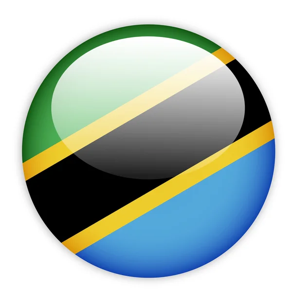 坦桑尼亚国旗按钮 — 图库矢量图片