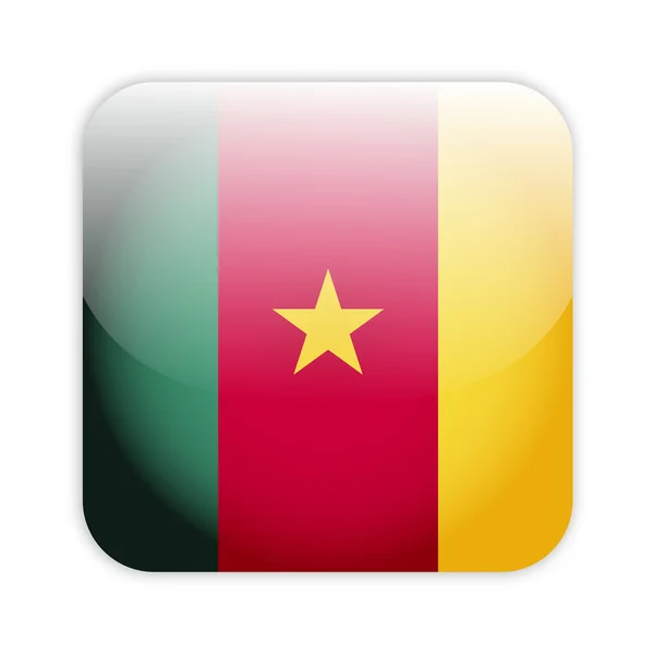 Cameroon flag button — Stock Vector