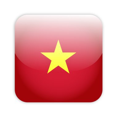 Vietnam bayrağı düğmesi